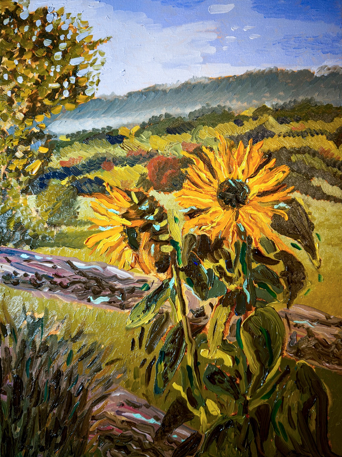 Sunflowers by the Window in an Eastern Kentucky landscape